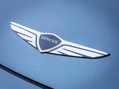2027 Genesis GV60 19"