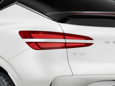 2026 Genesis GV60 19"